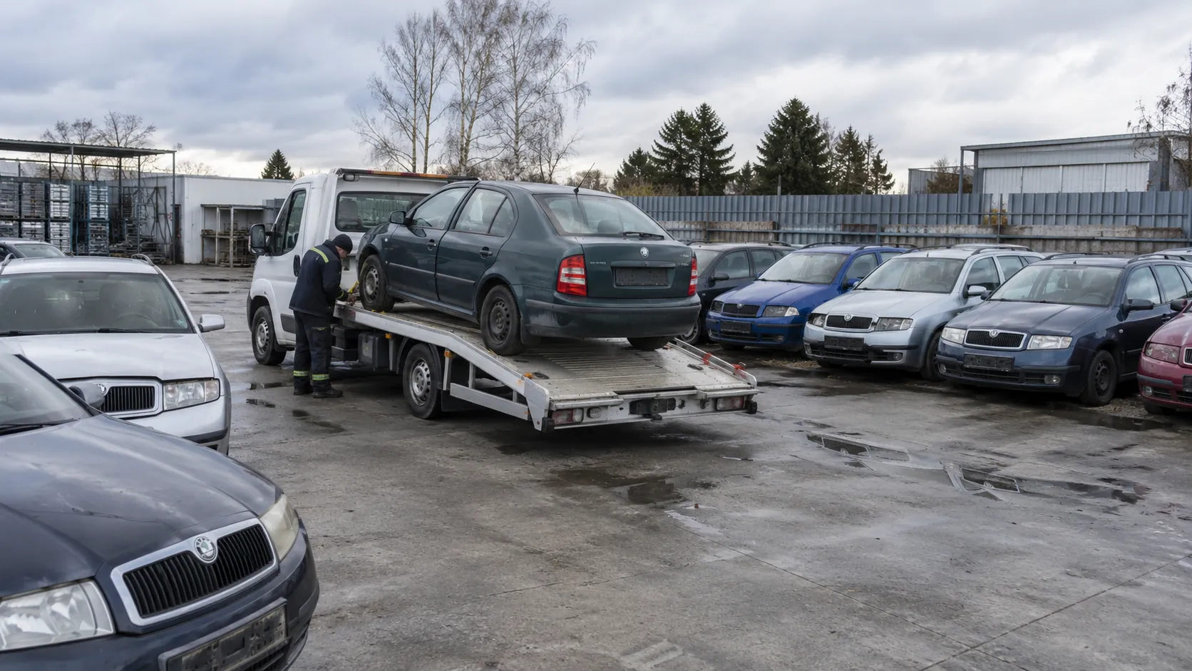 Odstavené vozy Škoda v řadách na zpevněné ploše